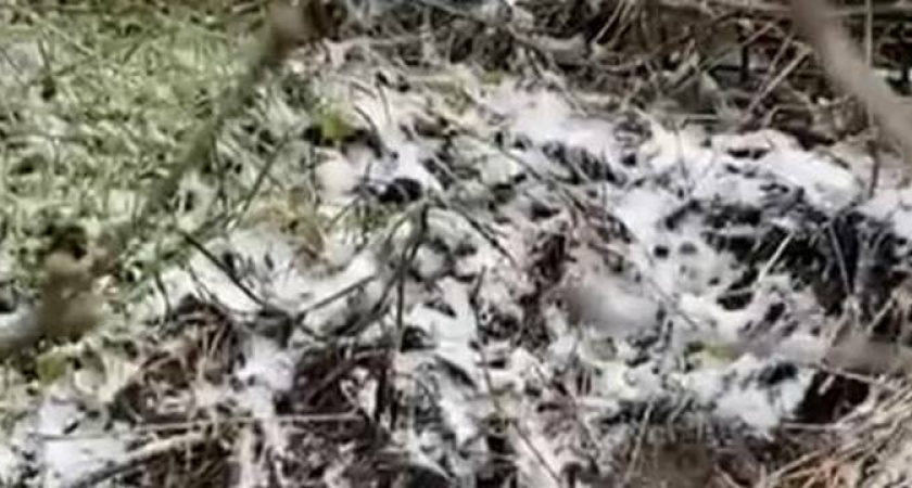 А воз и ныне там: грязная вода продолжает стекать в реку Озерейку Новороссийска 