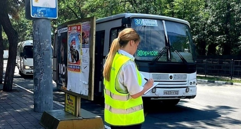 Новая схема движения, автобусы и график: новороссийцев зовут обсудить транспортную реформу