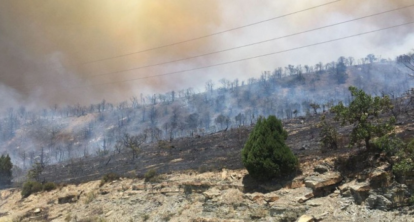 Горение травы на территории базы отдыха «Голубая Волна» полностью потушено