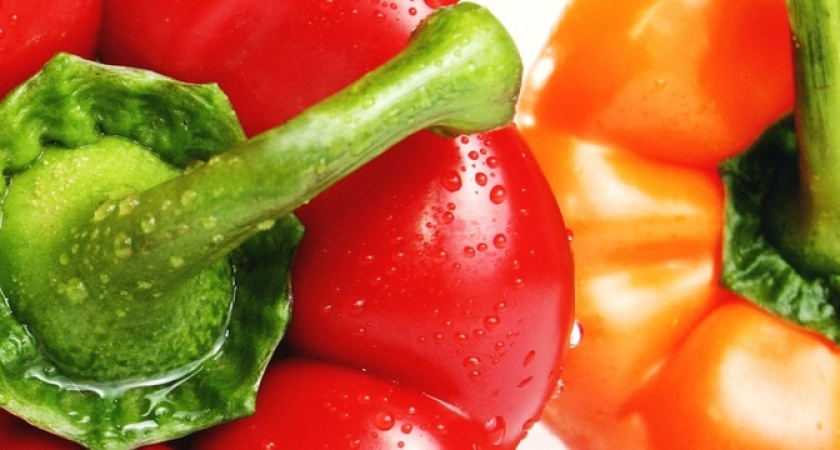 Всего 1 чайная ложка: рассада перца станет крепкой через три дня