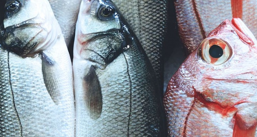 Ее есть вообще нельзя, а мы еще и покупаем: самая опасная рыба