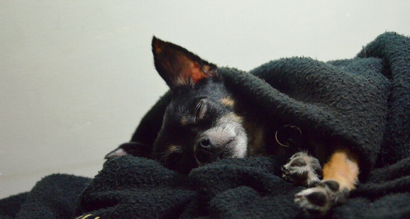 Главное, не переспать: врачи рассказали, как посчитать идеальное время для сна