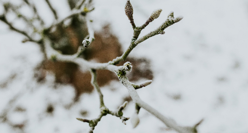 «Готовьтесь к худшему». Синоптики предупредили, чего стоит ожидать от погоды