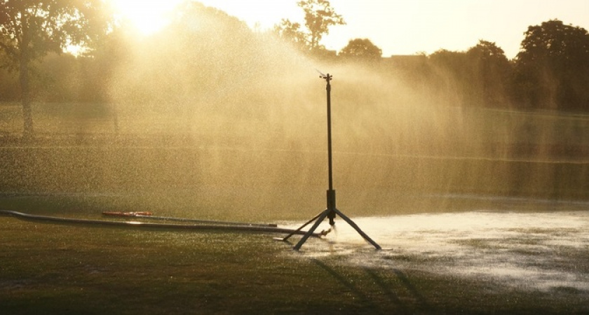 Вводится еще один запрет для дачников: в 2024 году за это оштрафуют и заберут весь урожай