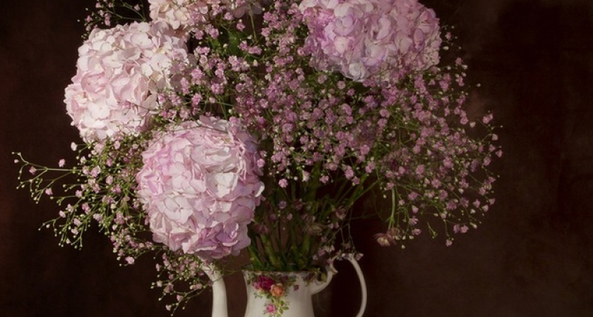 Букет цветов проживет месяц: добавьте в воду одну таблетку