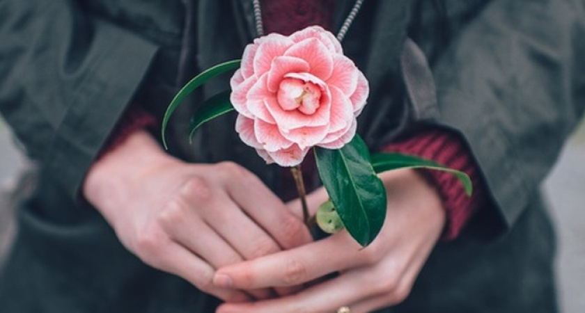 Глоба рассказал, какие знаки в Цветочное полнолуние благословит на любовь и счастье