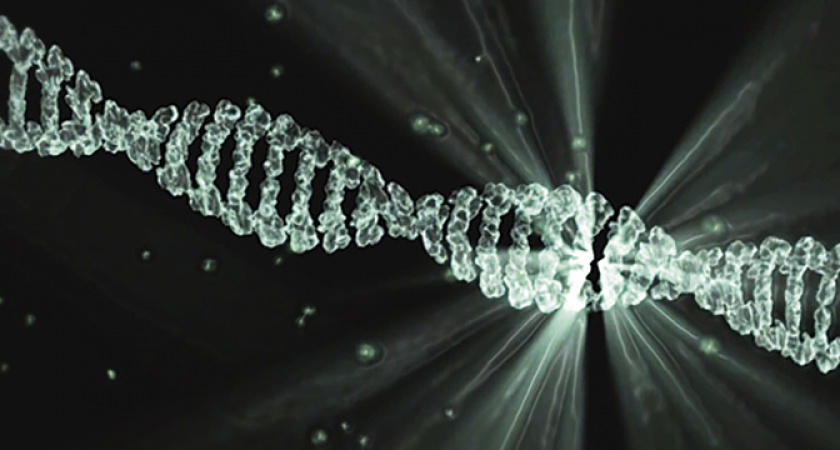 Ученые выяснили людей с группой крови, у которых рождаются самые умные дети