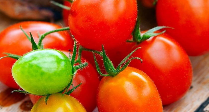 Помидорам - только лучшее: возможности применения нашатырного спирта 