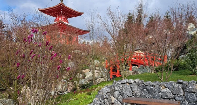 В Японский сад в Краснодаре выстроилась очередь, а самые предприимчивые продают QR-коды на вход в соцсетях. Фото первых посетителей