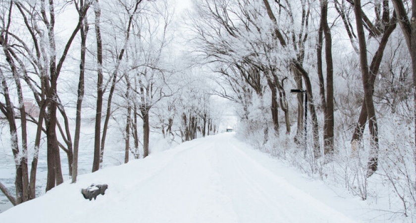 Когда выпадет первый снег: синоптики дали прогноз
