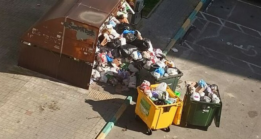 В Новороссийске на улице Южной по несколько дней не вывозят мусор, загнивающий под солнцем
