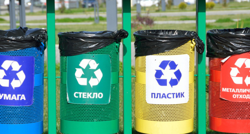 Экобоксы, мебель из переработанного пластика и сетчатые «рыбки»: как новороссийцев приучают к раздельному сбору мусору