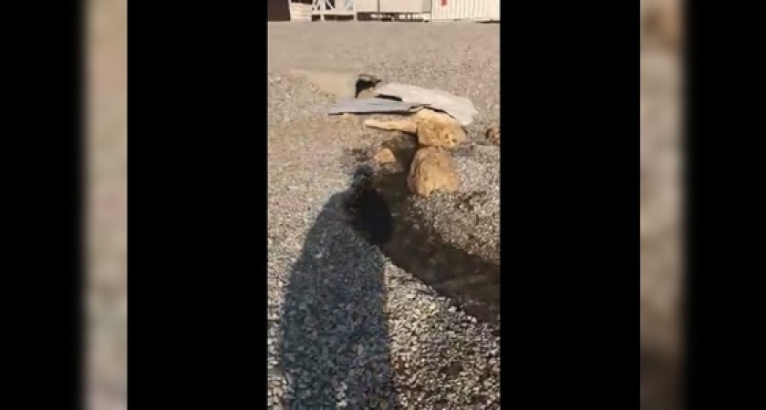 «Вода воняет». Новороссийцы сняли на видео зловонный ручей, стекающий в море на горпляже