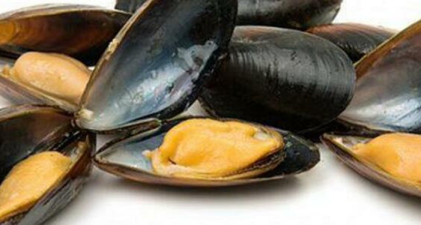 Житель Новороссийска незаконно выловил из моря мидии на 200 тысяч рублей