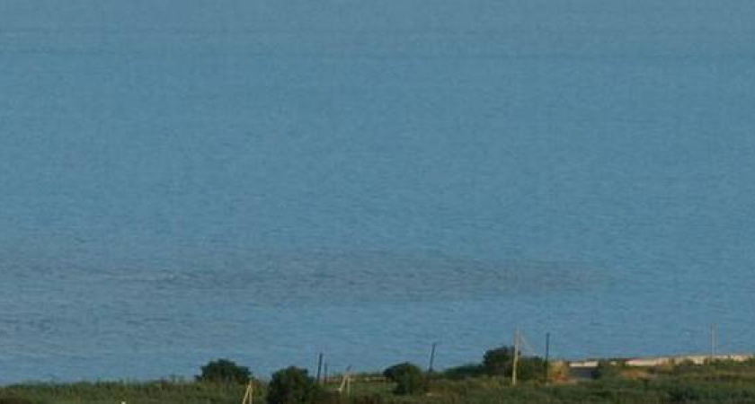 "Аж фонтанирует!": новороссийцы сняли слив нечистот в районе очистных "Алексино"