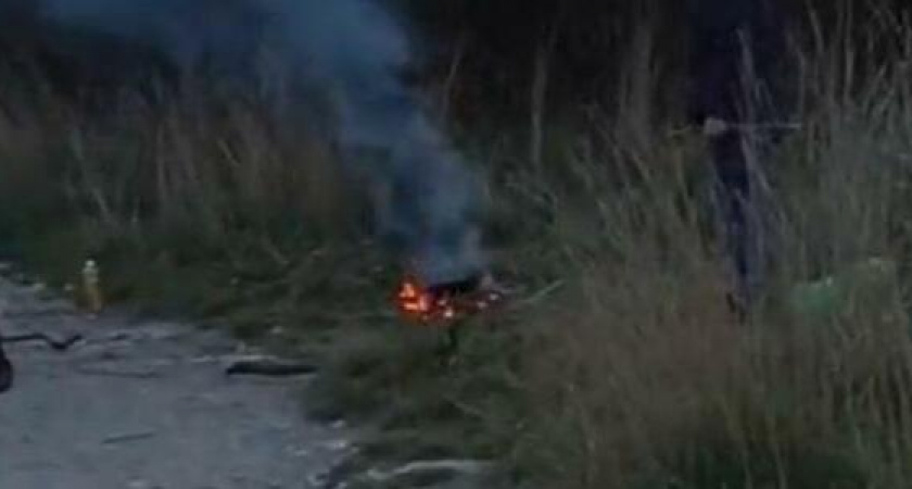 В Новороссийске двое мужчин устроили пикник с костром на особо охраняемой природной территории