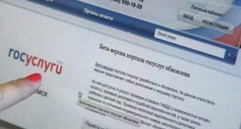 Мошенники создают двойники сайта госуслуг для оформления «путинских» выплат на детей