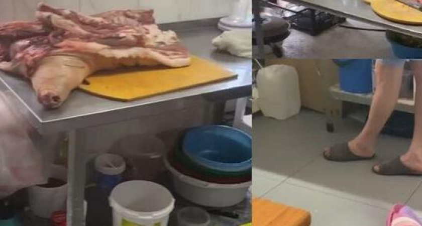 "Кормят помоями, мясо тухлое": москвичи приехали на ПМЖ в Новороссийск и показали антисанитарию на кухне в местной столовой