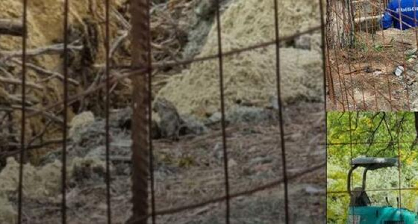 "Они всю зелень уничтожат!": корневную систему деревьев второй очереди парка Фрунзе разбили и заливают бетоном?