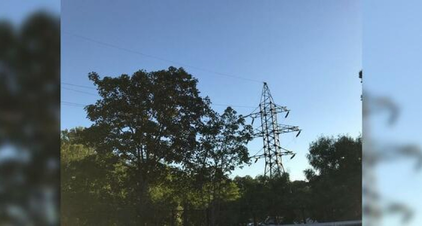 В Новороссийске пройдут общественные слушания по вопросу корректировки границ Цемесской рощи