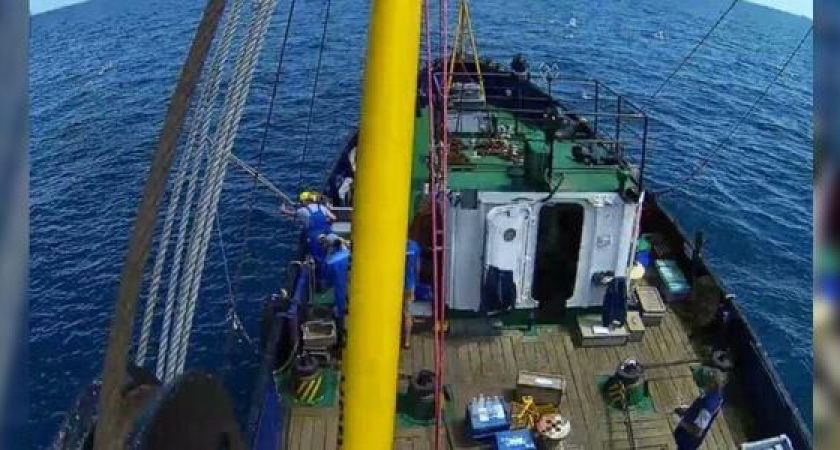 На хамсу и барабулю рассчитайся: ихтиологи, океанографы и гидрологи посчитают рыбу в Черном море