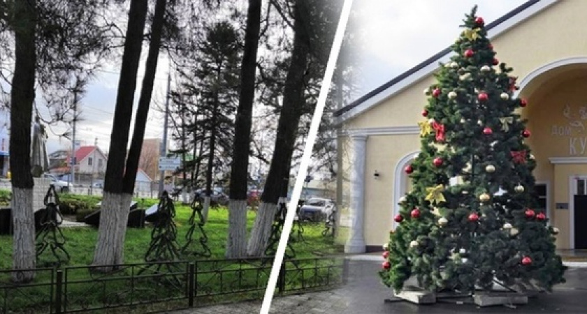 В Новороссийске начали установку праздничных елей: где уже появилась новогодняя красавица