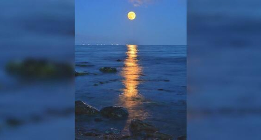 Лунная дорожка на бархатных волнах. Новороссийский фотограф поделился впечатляющими снимками полнолуния