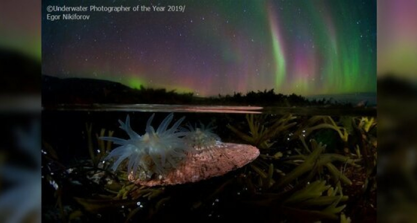 Работа новороссийского фотографа представлена в финале самого престижного международного конкурса