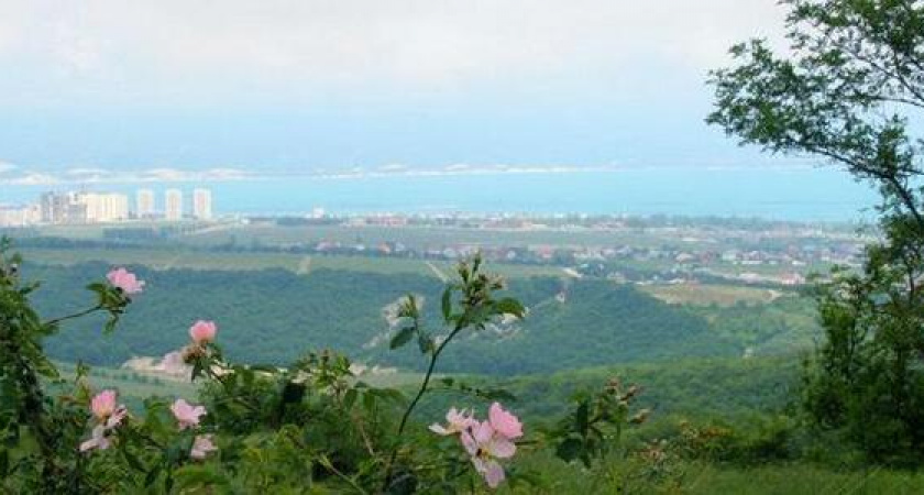 Никаких ЖК и ТЦ: в Новороссийске зарезервировано 10,5 га земли под особо охраняемые природные территории
