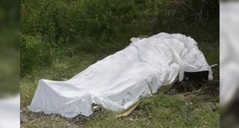 Новороссийцы нашли в лесном массиве обглоданное животными тело мужчины