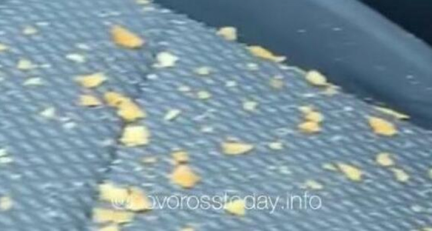 "Вот так себя ведут матери двоих детей!": конфликт таксиста и туристок в Новороссийске