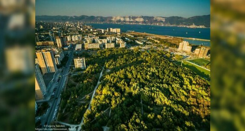 В Пионерской роще обустроят дорожки из ракушечника