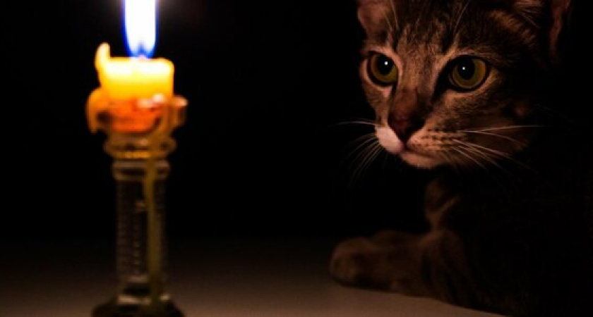 Сегодня отключат свет в пригороде Новороссийска: список адресов