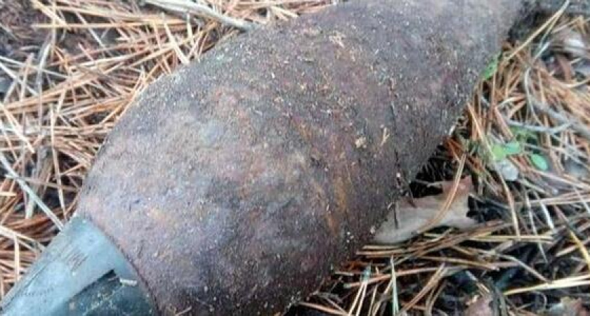 Новороссийка едва не подорвалась на мине в собственном дворе