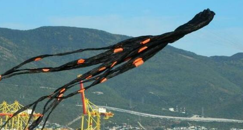 Осьминоги, рыбы и летучие мыши взмыли в небо над Новороссийском: подборка фото и видео с фестиваля воздушных змеев