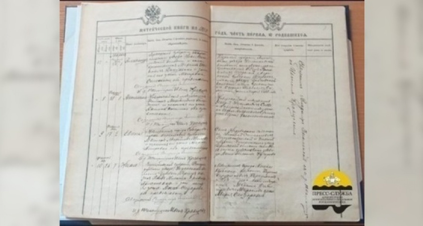 В архив Новороссийска вернули уникальные столетние книги: по изданиям можно восстановить историю местных семей