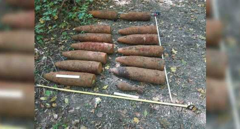 В лесу под Новороссийском нашли боеспособные мины и снаряды