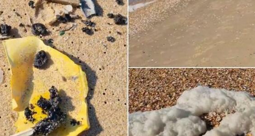 "На берегу куски нефти, мертвые птицы и нерастворяющаяся пена": анапчане считают, что в море произошла экологическая катастрофа