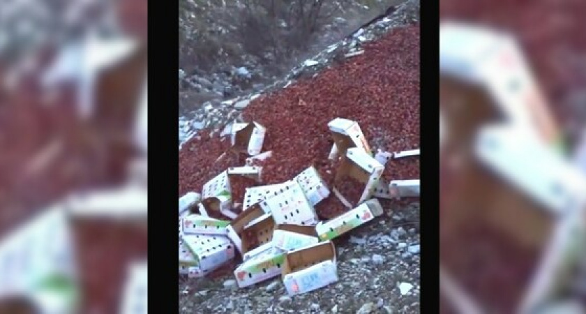 Неизвестные засыпали овраг в Новороссийске просроченными экзотическими ягодами личи