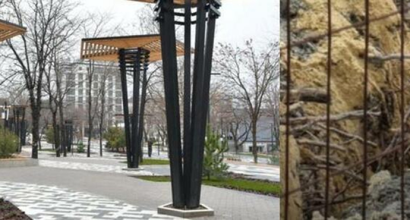 В новороссийском парке Фрунзе собирались срубить 92 здоровых дерева