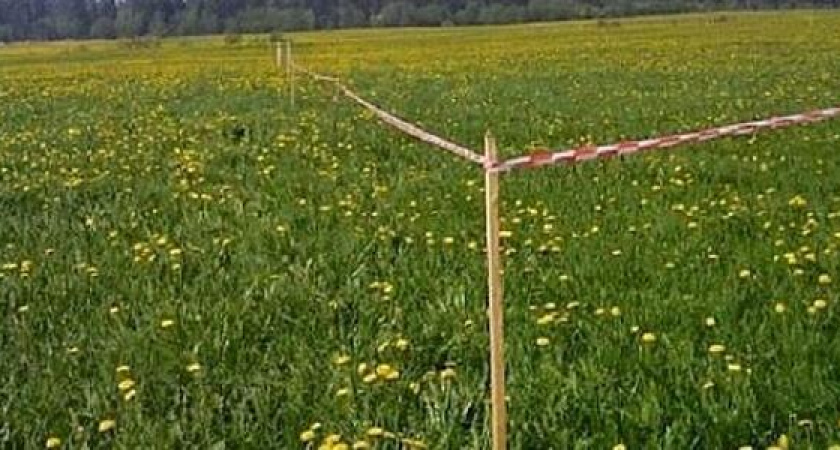 Запрет на владение землей иностранцами обсудили на Кубани