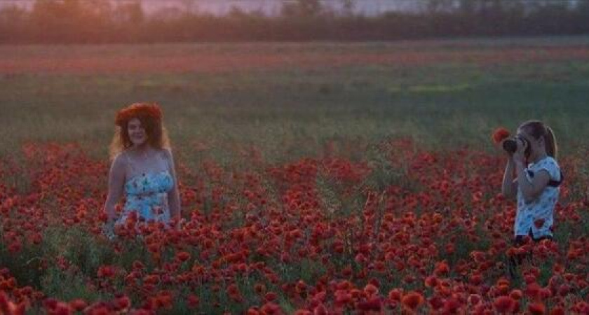 Маковое безумие: 10 завораживающих фотографий полей маков в окрестностях Новороссийска и Анапы