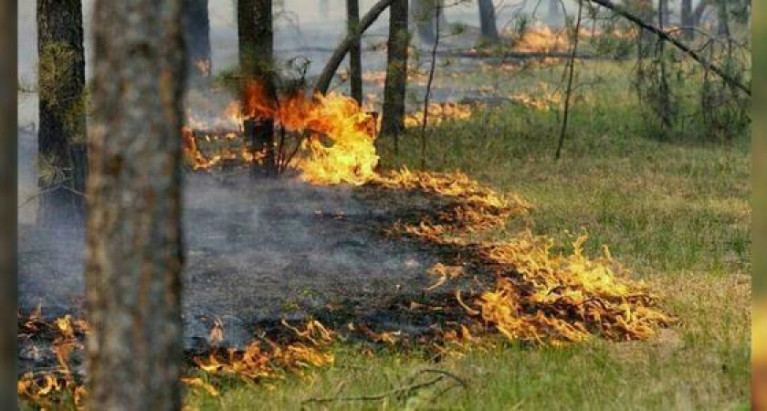 За неделю в Новороссийске произошло 27 возгораний мусора и травы