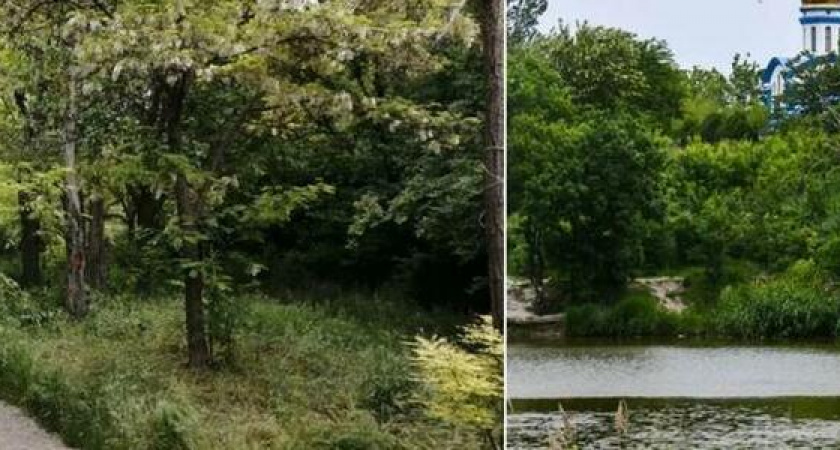 "Пионерскую рощу и Южные пруды располовинили между нужными людьми!": горожане опасаются "сюрпризов" в новом генплане Новороссийска