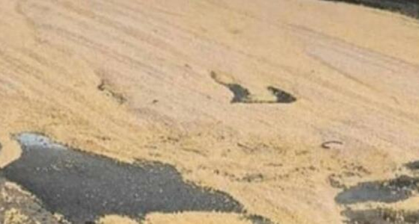 Проезд под мостом на Элеваторной в Новороссийске перекрыт из-за рассыпанного гороха