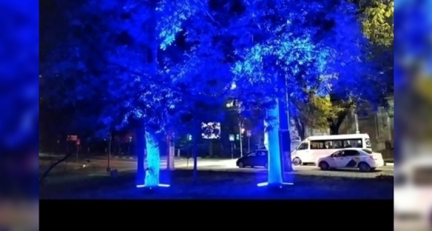 Новороссийцы сняли на видео новую светодиодную подсветку Центральной аллеи