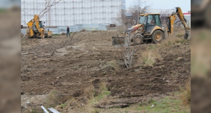 Дикие фазаны, чьи гнезда разрушили бульдозеры, в отчаянии мечутся у забора начавшейся стройки у Суджукской лагуны: новороссийцы сняли на видео несчастных птиц