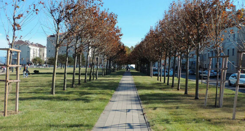 На набережной Новороссийска хотят расширить велодорожку на 16 миллионов рублей