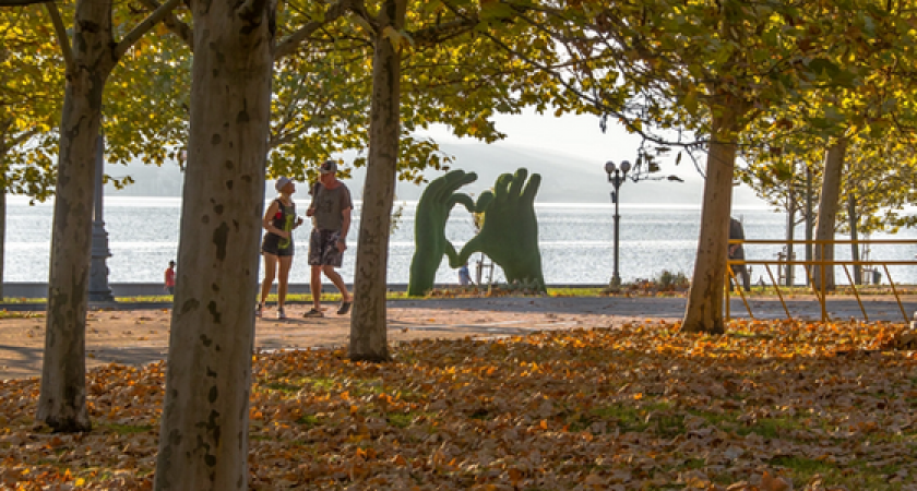 В Новороссийске летом наступила "золотая осень": фото