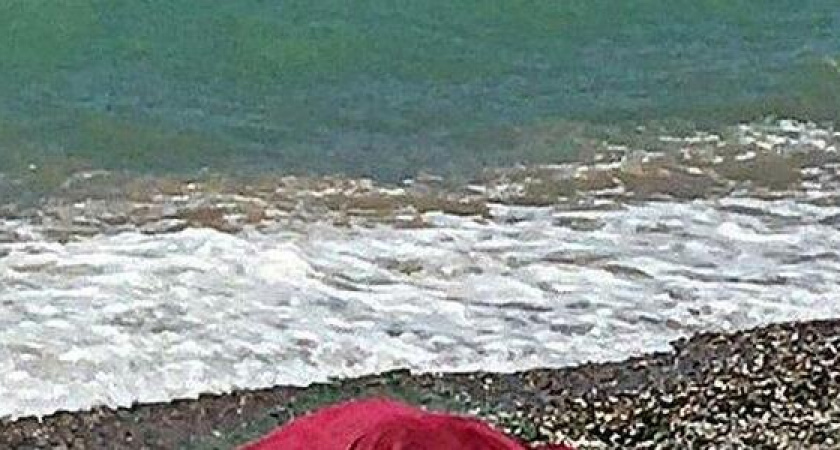 В Новороссийске к берегу у базы отдыха прибило труп мужчины